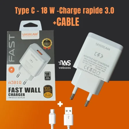 Chargeur Ldnio (SIYOTEAM) Compatible Avec Tous Les Smartphones - Type C - 18 W -Charge rapide 3.0 A301Q