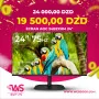 Écran AOC 24B2XHM 24" Full HD IPS 75Hz 6ms , Sans Bordures sur 3 Côtés & Ultra Mince HDMI et VGA