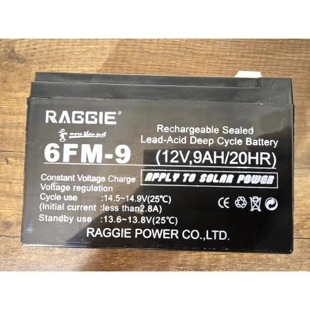 Batterie Plomb-Acide à Cycle Profond RAGGIE 6FM-9 12V 7-9AH/20HR - Rechargeable, Compatible Énergie Solaire