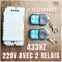 Module Intelligent Sans Fil RF 433MHz 220V avec 2 Relais MT-CA31 et 2 Télécommandes - Contrôle à Distance