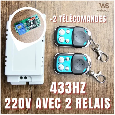 Module Intelligent Sans Fil RF 433MHz 220V avec 2 Relais MT-CA31 et 2 Télécommandes - Contrôle à Distance