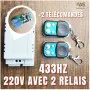 Module Intelligent Sans Fil RF 433MHz 220V avec 2 Relais MT-CA31 et 2 Télécommandes - Contrôle à Distance