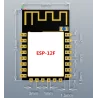 Module sans fil série ESP8266 ESP-12E