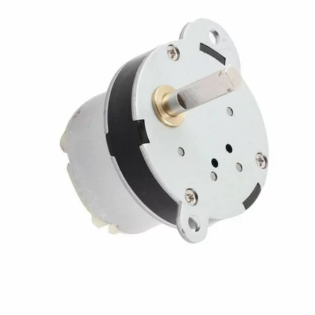 40GB DC GEAR MOTOR 12V 3RPM