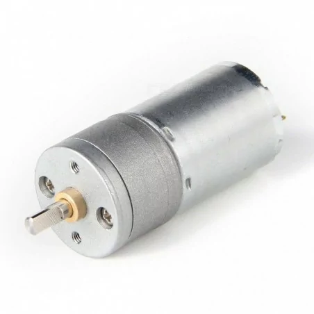 25GA GEAR MOTOR 12V 300RPM