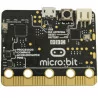 Micro bit